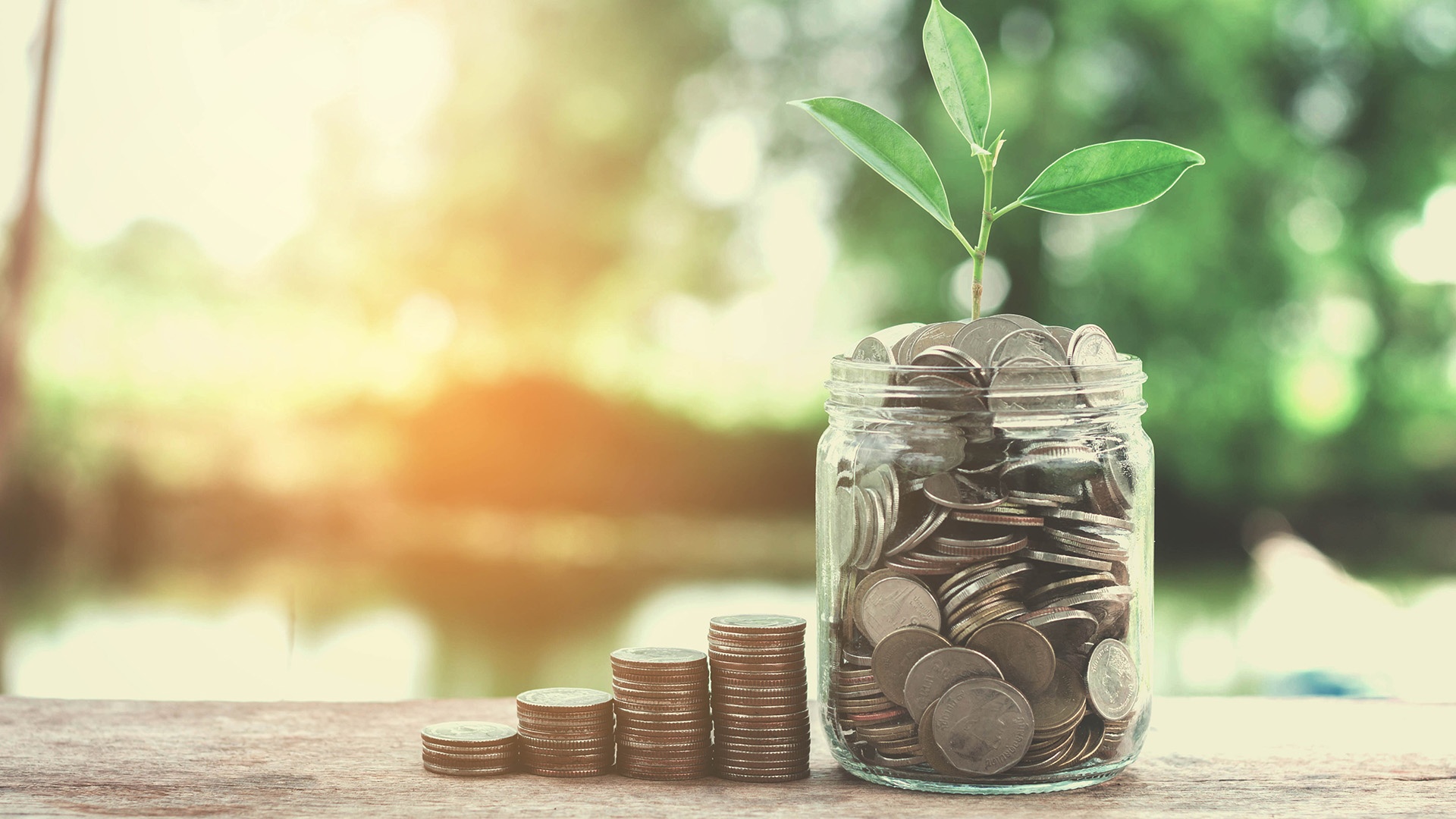 Piles of coins growing and sprouting in a glass jar