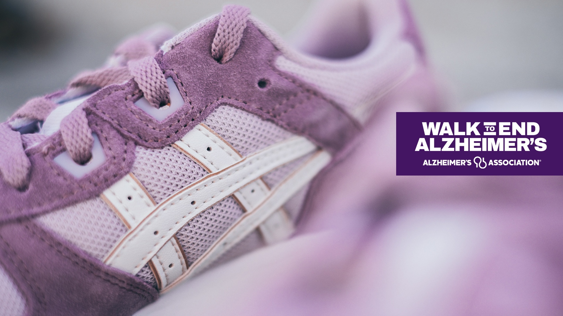 walk for alzheimers month of giving