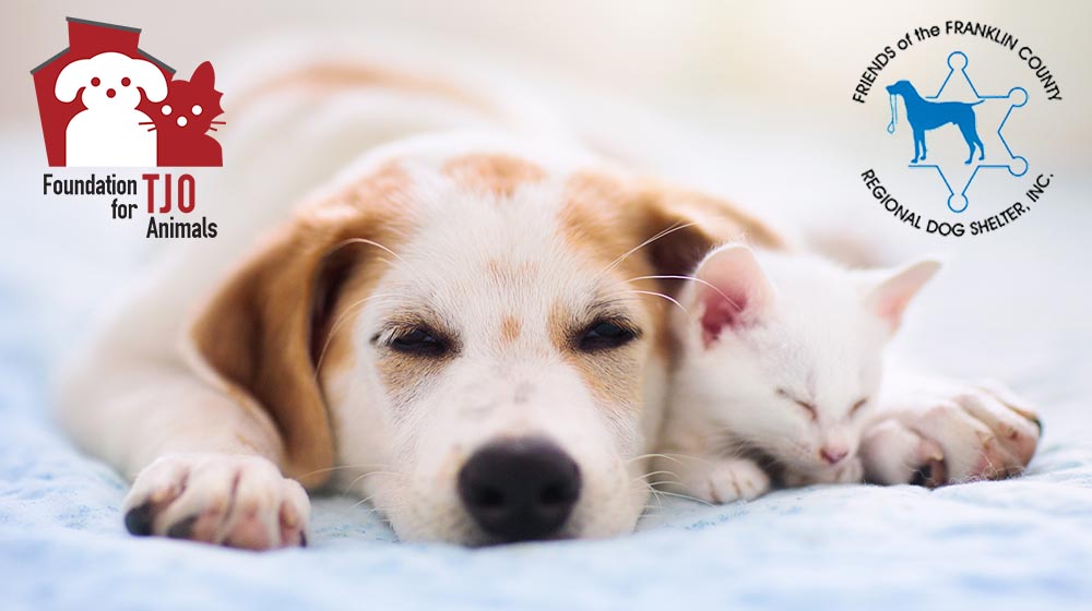 Aid for Local Animal Shelters