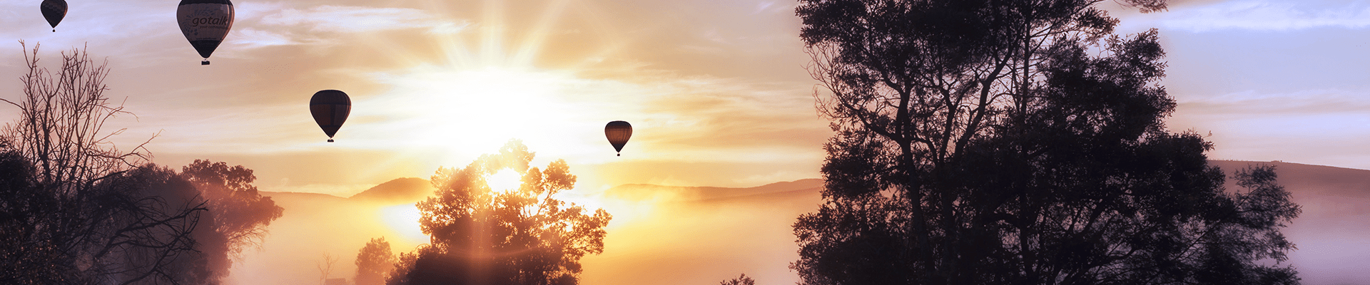 hot air balloons at sunrise